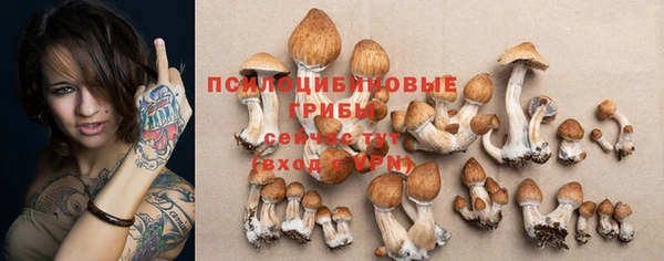 хмурый Баксан