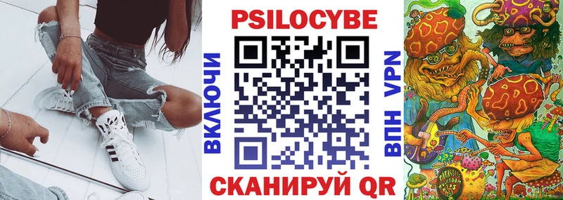 Псилоцибиновые грибы Psilocybine cubensis  Грязовец 